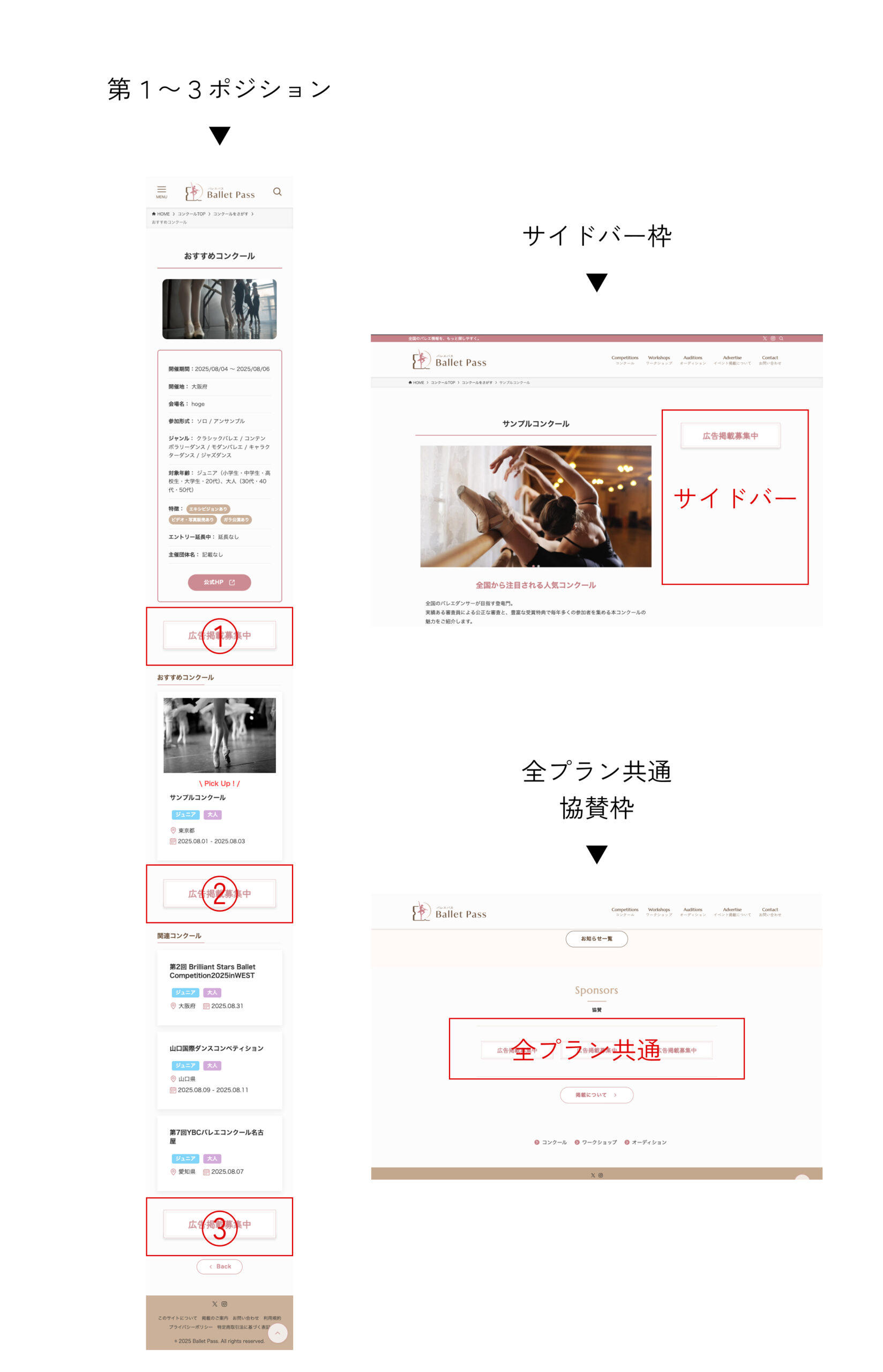 掲載例